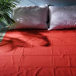 SPA-Waterproof PVC Sex Bed Sheets, Capa de colchão hipoalergênico, Alergia Alívio Bed Bug, S-e-x Game Sheets, Adulto - Image 4