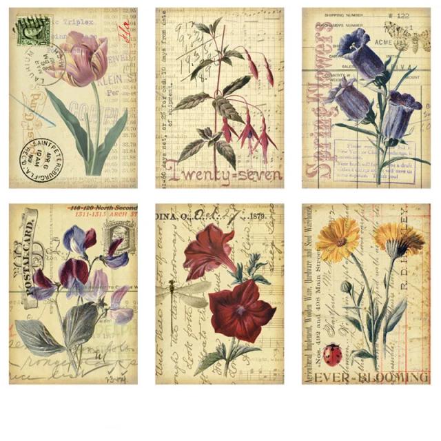 Pacote com 8 Adesivos Vintage de Flores para DIY em Scrapbooking e Álbum de Memórias