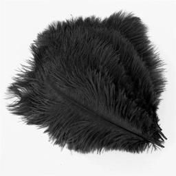 Penas pretas de avestruz para decoração de festas de casamento, penas naturais de avestruz para artesanato, 15-75cm 6-30 - Image 2