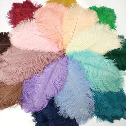 10 pçs/lote novas penas de avestruz coloridas decoração de penas brancas diy peças centrais de mesa vasos artesanato acessórios de carnaval decoração - Image 5