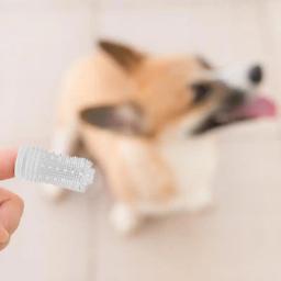 Silicone Dedo Toothbrush para Pet, Dog and Cat Toothbrush Kit, Pet Dentes Limpeza Suprimentos, 4 Pack - Image 4