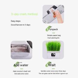 Conjunto de Plantas Hidropônicas para Pet, Grama De Gato, Lanche Para Bola De Cabelo, Limpeza De Grama De Estômago, Suprimentos sem Sementes De Plantas - Image 4