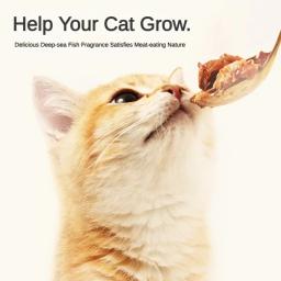 Comida de grampo enlatada para petiscos de gato, Alimentos úmidos nutritivos de engorda, Sabor de frango de atum, 375g/Can - Image 4