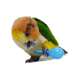 Pássaro Mordidas Brinquedos Interativos De Treinamento, Chocalho De Papagaio Bonito, Martelo De Areia, Bola De Areia, Acessórios De Desejo, Papagaio - Image 3