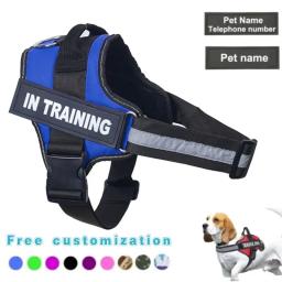 Colete de Arnês do Cão Reflexivo e Respirável, Patch Personalizado, Sem Puxar, Pet Training Acessórios, ID, Dropshipping - Image 1