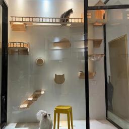Parede de madeira Cat Tree com Sisal Escada e Plataforma, Escalada Prateleiras, Hammock Bridge, Pet Furniture, Playground para Gatinho - Image 1