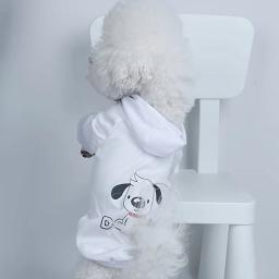 Roupas impressas em veludo confortáveis para animais, moletons quentes para cães e gatos, simples e trela - Image 2