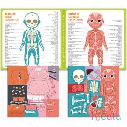 Brinquedo interativo do enigma magnético para crianças, órgãos do corpo humano, músculos, esqueleto, cognição, Montessori, livro ocupado, Preshool, sensorial - Image 4
