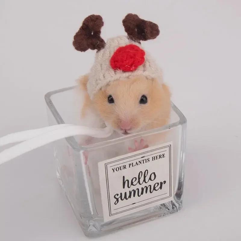 Chapéus de malha pequenos para animais, hamster adorável, lagarto, cobaia, réptil, roupas de festa de Natal, fantasia, bonés - Image 1