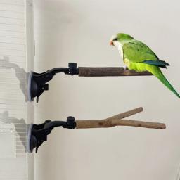 papagaio poleiro gaiola acessórios poleiros suporte poleiro ventosa brinquedo pássaro - Image 1