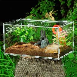 Terrário acrílico transparente para répteis, caixa de alimentação transparente para animais, répteis, insetos, aranha, lagarto, sapo, grilo, tartaruga - Image 2