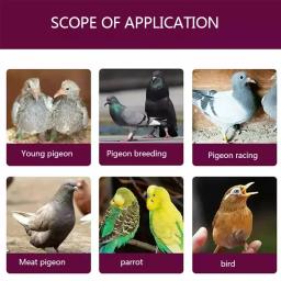 Comprimidos de Crescimento Pombo Jovem para Pombo Jovem, Condicionado Feed, Brood Treasure, Reprodução de Penas, Suprimentos Nutricionais de Saúde, 600 Pílulas - Image 2