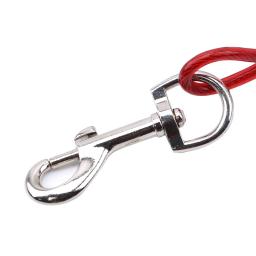 Durável Double-End Dog Leash Cabo, Fio de Aço, Corda Cadeia, cabeças duplas, Metal Ganchos, Pet fornecimentos, de alta qualidade, 5mm * 3m - Image 4