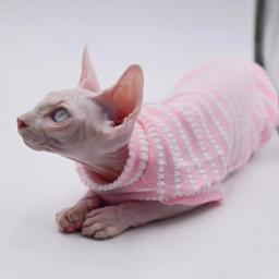 Roupas Sphynx confortáveis e respiráveis para gatos, adequadas para gatos sem pêlos, Devon Rex,Cornish, Kennel, Primavera e Verão - Image 4