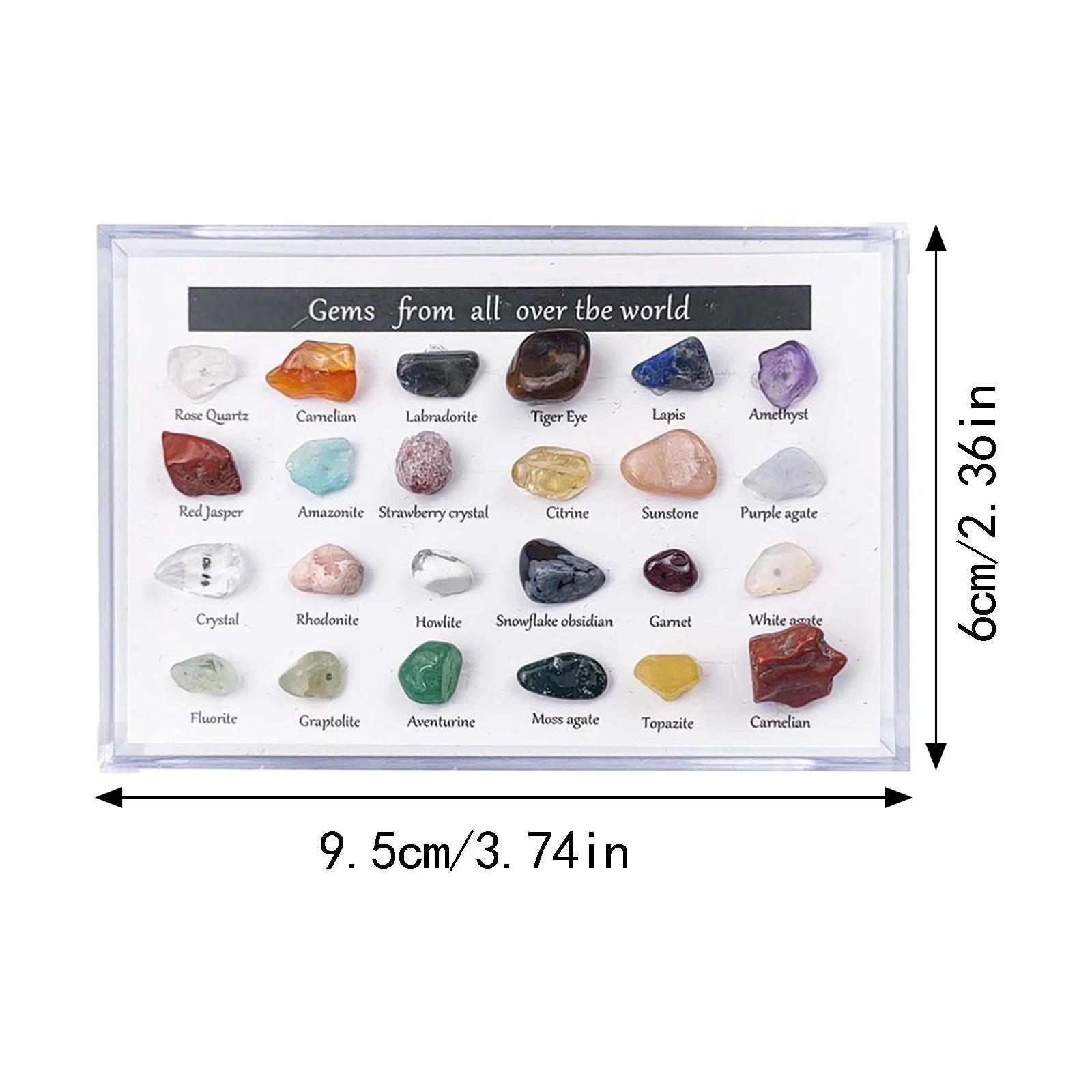 Coleção de pedra e mineral com caixa coletora/caixa de exibição, folha de identificação, kit de cristal de pedras preciosas, educação científica de haste de geologia, 24 peças - Image 1