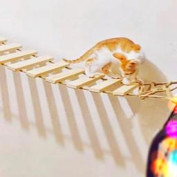 Brinquedos Atividade de parede Cat Wood Sisal Scratcher Climber Mobiliário Cat Bridge Corda Passos Gatinho Escada Gatinho Post Wall - Image 3