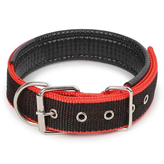 Coleiras de Nylon Ajustáveis para Cães e Gatos: Acessórios Confortáveis para Pet de Todos os Tamanhos