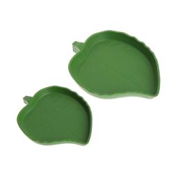 Prato água para répteis, tigela comida para animais estimação, aranha, escorpião, camaleão, répteis, anfíbios, 2 - Image 5