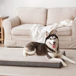 Benepaw espuma de memória ortopédica cama do cão para pequeno médio grande cães durável confortável pet esteira removível capa filhote de cachorro almofada colchão - Image 6