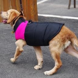 Jaqueta impermeável com zíper para cães, casaco acolchoado, colete de estimação, cães pequenos, médios e grandes, pug, chihuahua, buldogue francês, roupas quentes, inverno - Image 2