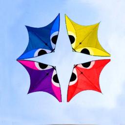Professional Kites Flying Dragon Kite, Kitesurf Winder, Outdoor Sports Toys, Frete Grátis, City Elf - Image 2