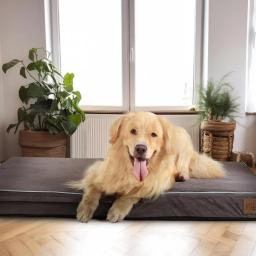 Ortopédica Memória Espuma Pet Cobertor, Dog's Slate Grey Dog Bed, Canil Cama para Gatos, Camas de Pelúcia, Suprimentos Almofada, 54 "x 36" x 4" - Image 5