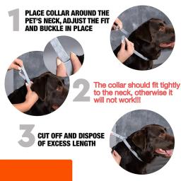 Coleira antipulgas ajustável para animais de estimação, carrapatos, mosquitos, ao ar livre, proteção de longo prazo, filhotes, gatos, cães, 8 meses, novos acessórios - Image 6
