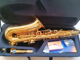 Profissional Alto Eb saxofone com caso acessórios, bronze ouro, E Flat Sax desempenho, instrumento musical, 802 - Image 4
