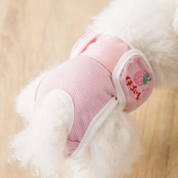 Fraldas para cães laváveis, calça fisiológica pet, shorts femininos de cachorro, roupas íntimas femininas, calcinhas de cachorro, roupas de gato, 2024 - Image 2