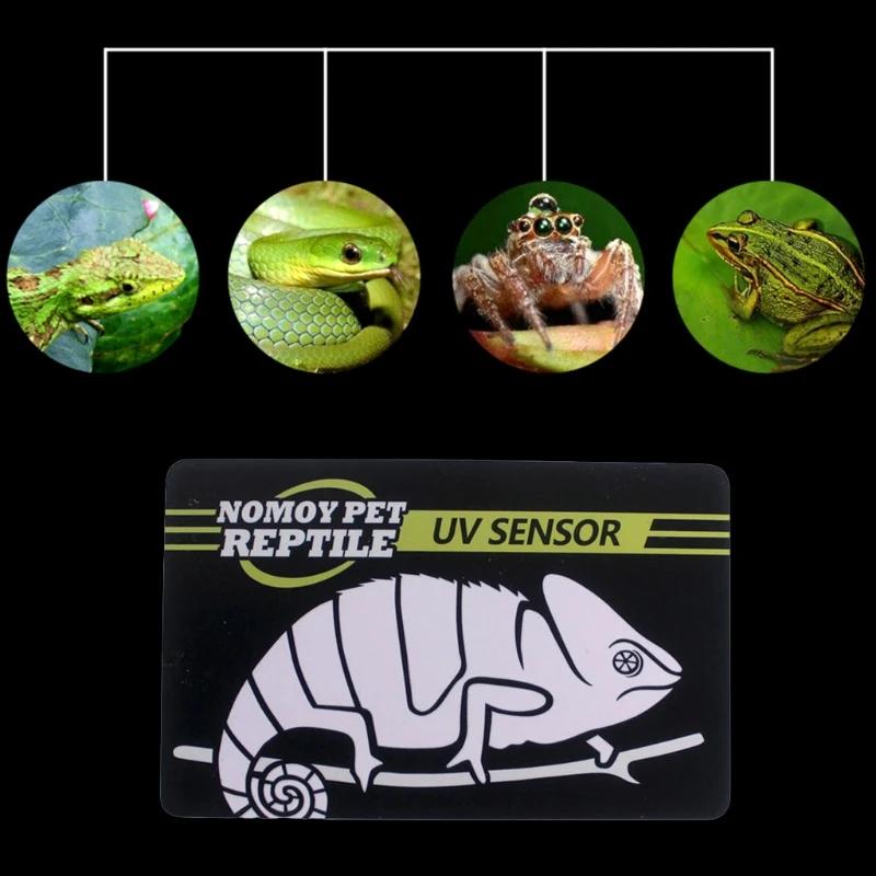 cartão teste lâmpada uvb para répteis, teste uv, medidor papel, suprimentos para animais estimação - Image 1