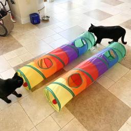 Túnel para Gatos Brinquedos Dobráveis para Gatos de Estimação Treinamento de Gatinhos Túnel de brinquedo divertido interativo entediado para cachorro, gatinho, coelho, tubo de túnel para brincar - Image 4
