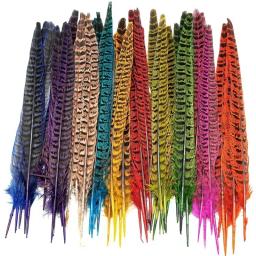 Penas Naturais Coloridas Fêmea e Faisão para Decoração, Acessórios Artesanais, Decoração de Penas de Frango, Carnaval, 25-30cm - Image 1