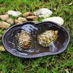 Piscina de banho para répteis, acessórios para anfíbios, grande com rampa, tigela de água para tartaruga, hamster, escorpião, leopardo - Image 2