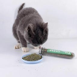 Catnip seco forte de qualidade premium para gatos, brinquedos do gato, calmante Scratch Pad, brinquedos de cama - Image 3
