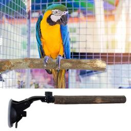 Wooden Parrot Perch Stand com ventosas para aves pequenas e médias, Evitar deslizamento, Interactive Window Perch - Image 3