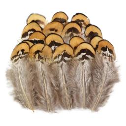 Pavão de frango natural e feisão penas pequenas para artesanato, bordado, acessórios de artesanato, decoração de jóias DIY, atacado - Image 6