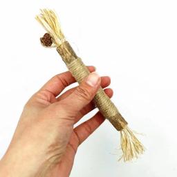 Polygonum Catnip Stick para gatos, Cat Snacks, Molar Stick, Clear Toy, Respiração, Natural, Mastigar Brinquedos, Versátil, Claro, Placa, Gato - Image 3