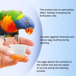 Pombo Pássaro Reprodução Vitamina Diária Moulting Vitamin, Melhorar Suplemento Fertilização, Multivitaminas, Nutrição Condicionado - Image 2