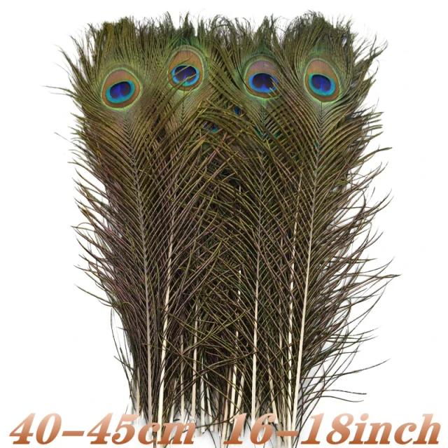 Penas de Pavão Naturais para Decoração de Vasos e Acessórios Artesanais em Atacado