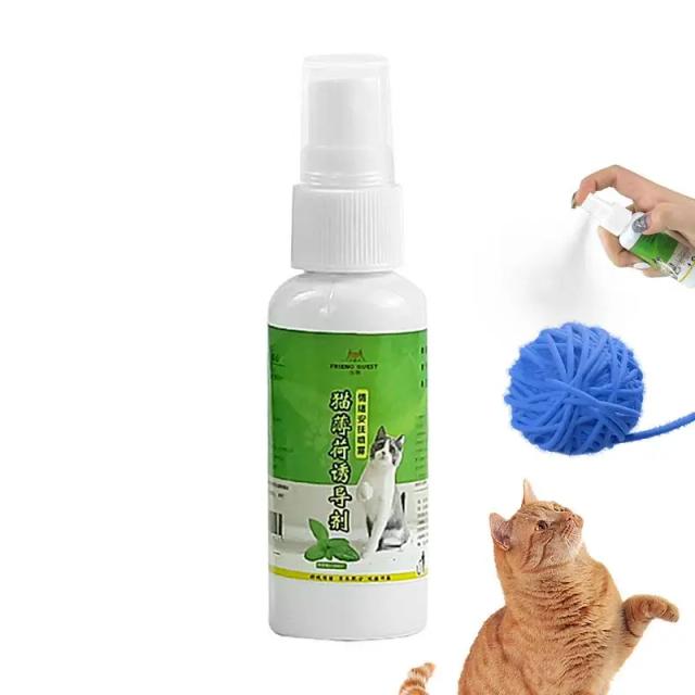 Spray de Catnip Cat Catnip para Gatos e Gatinhos - Ingredientes Saudáveis e Seguros, Fácil de Usar, 50ml