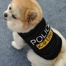 Colete preto para gatos e cães, camiseta para cachorros, roupas para animais, roupas de verão, roupas pretas - Image 3