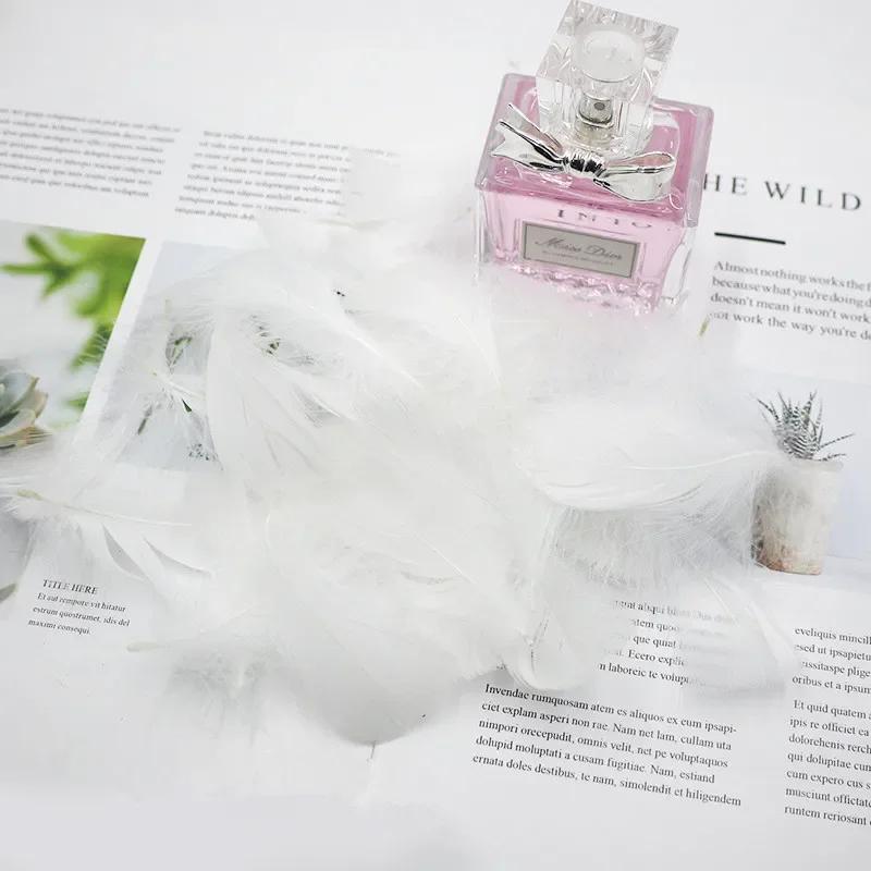 100 pçs/saco penas coloridas material de embalagem de presente caixa de enchimento suprimentos diy artesanato festa de aniversário de casamento decoração acessórios - Image 1
