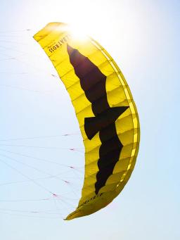 Grande Quad Line Power Kite para Adultos, Parafoil Board, Surf para Surf, Frete Grátis, 5 m - Image 5