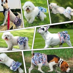 Pañales ajustables para perros, pañales lavables reutilizables para mujeres, vestido para perros con patrón de flores pequeñas y medianas, suministros para mascotas Cutey - Image 5