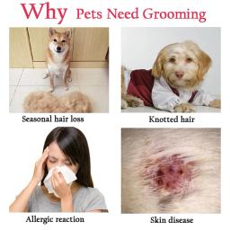 Cão removedor de cabelo pente pet pele nó cortador dupla face escova longo encaracolado cabelo líquido de limpeza gato grooming derramamento ferramentas pet fornecedores - Image 4