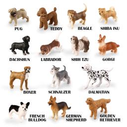 Simulação de animais selvagens, animal de estimação, cão, inseto, jardim zoológico, jardim zoológico, educação, bonito, miniatura, presente para crianças - Image 4