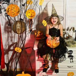 Halloween Lanternas De Papel Para Decorações De Festa, Abóbora Aranha Bat Esqueleto, Fontes De Interior E Exterior, 1PC - Image 4