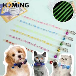 Lanterna LED colorida para animais de estimação, colar de pingente, noite segura, segura, brilhantemente decorada - Image 1