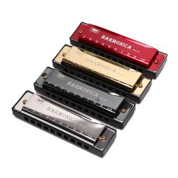 Harmonica com estojo para estudantes iniciantes e crianças, diatônica, chave de C, 10 buracos, presente - Image 2