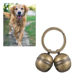 Coleira metal para animais estimação, acessórios para decoração cachorros, material durável para treinamento - Image 4